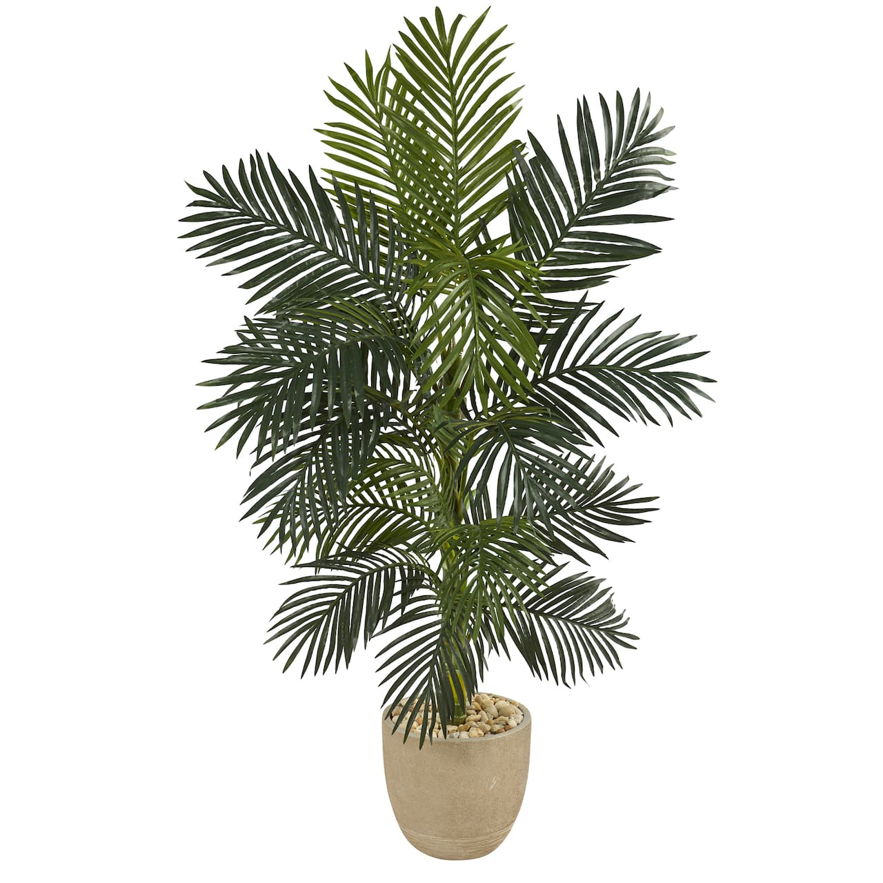 5ft. Golden Cane Palm Tree in Sandstone Planter